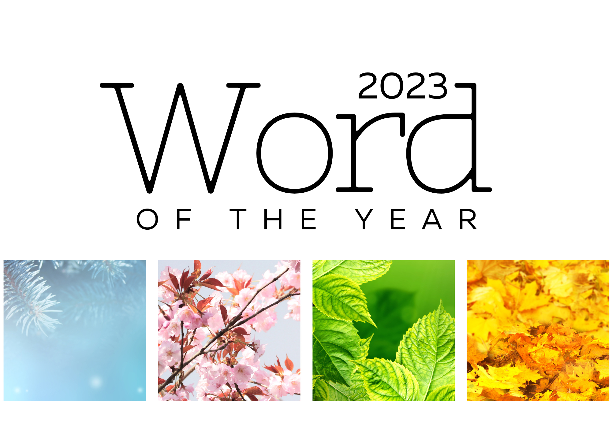 What Is Your Word Of The Year?