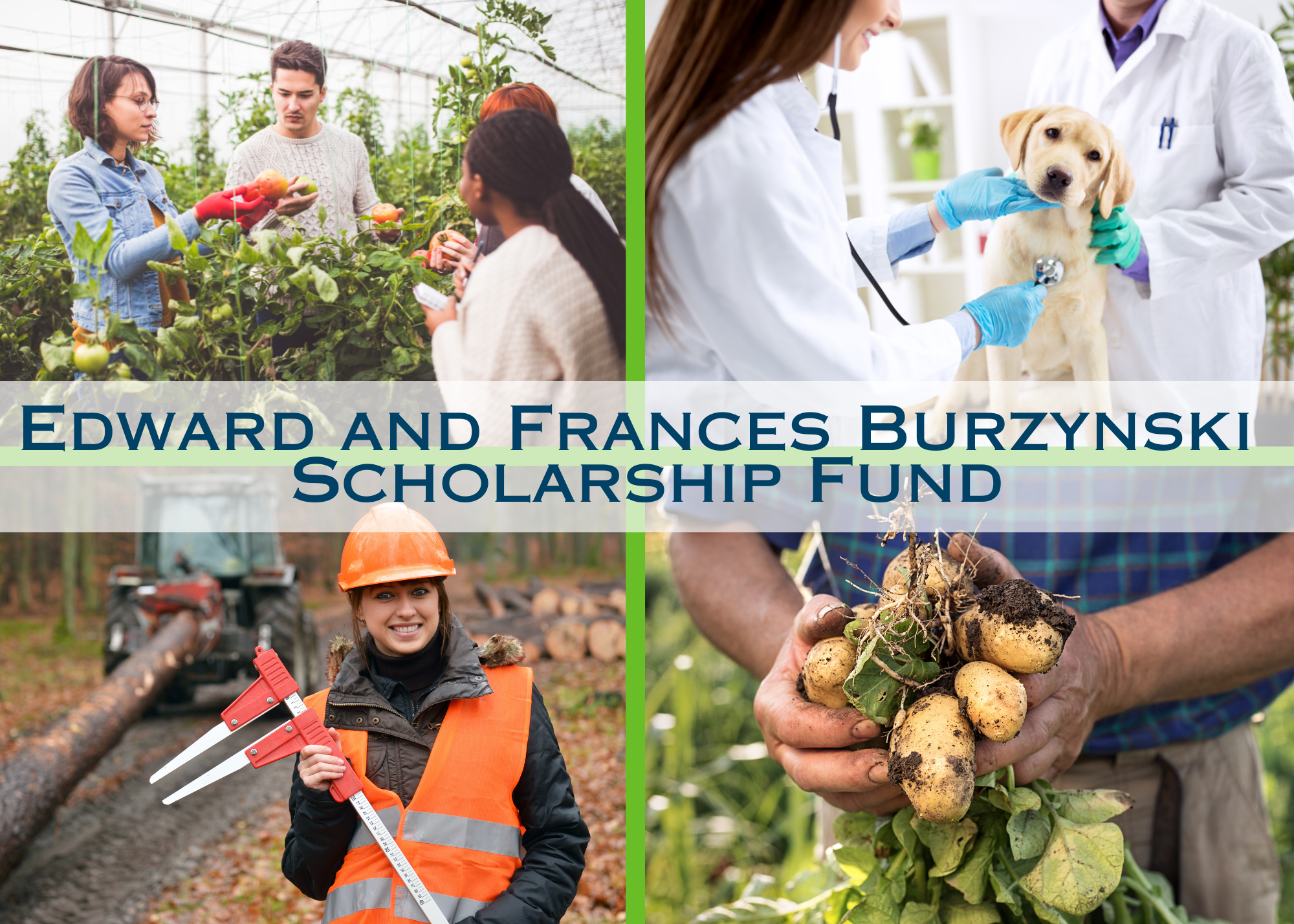 Spotlight on the Edward and Frances Burzynski Scholarship Fund