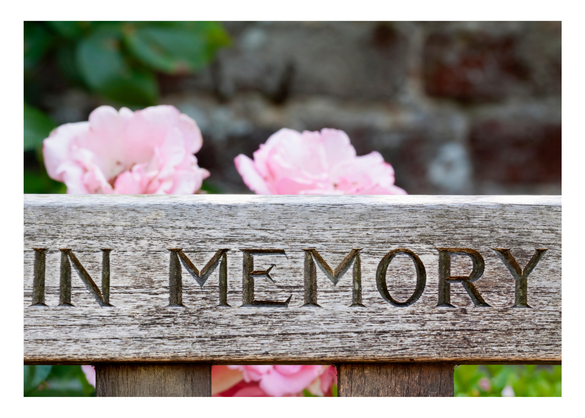 Honor a Life Well Lived with Memorial Giving Through OCF